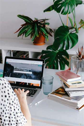 天涯社区高颜值装修图分享:点亮你的居家梦想 第1张 天涯社区高颜值装修图分享:点亮你的居家梦想 第1张